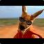 Kangaroo Jack.7