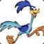 Roadrunner210