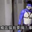 超♂威♂蓝♂猫