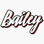 NV Bailey