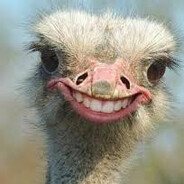 Ostrich (the OG)