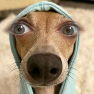 adela - steam id 76561199138646558