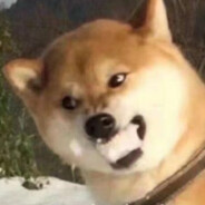 十六不懂李莫愁