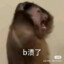 被小脑骗走三百万