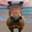 ???'s Avatar
