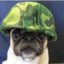 SuperGeneral Pugcho