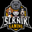 sLkNiK_Gaming