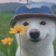 betayn - steam id 76561199159430411