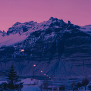 别动我的小土豆