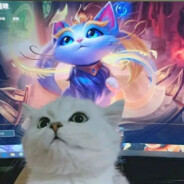 栗悟饭与龟波攻