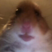 Homchik