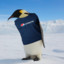 Pepsipenguin1