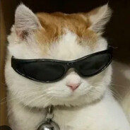𝐓𝐚𝐰𝐡𝐞𝐞𝐝 avatar