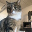 Marvin05_CH
