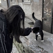 𝒕𝒂𝒏𝒊𝒄𝒉𝒌𝒂