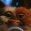 Mogwai