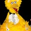 Dapper Big Bird