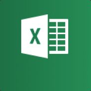 Microsoft Excel™