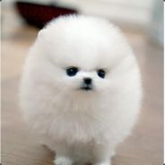 三回合刷新两级电棍