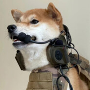 网恋骗された8000の东洋皇储