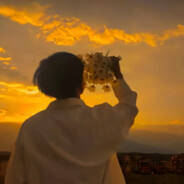 前路漫漫亦灿灿