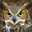 possibly an owl