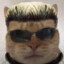 albert whiskars