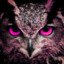 silent_owl
