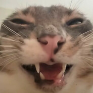 FixTotSamyi avatar