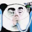 panda zuera