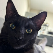 Водитель по губам