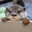 otter