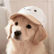 Hello,shooting-star.被电24次