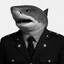 Blue Shark