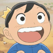 要来一只波吉吗