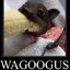 Wagoogus