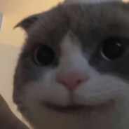 3262873591