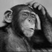 真就......干拉嗷