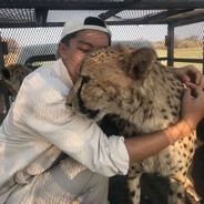 牛比哄哄炸飞老铁