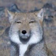 法外狂徒大烟枪