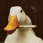 tubbyduck