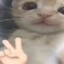 𝙻𝙰𝙸𝙽✿