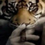 miNd