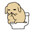 aa