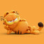 Garf1eld