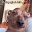 WILLYMAN