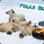 Polar Bear™