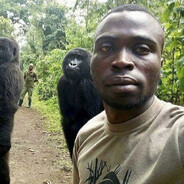 Monkey Jamal