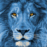 m0ntex - steam id 76561199777341101