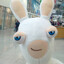 seahel